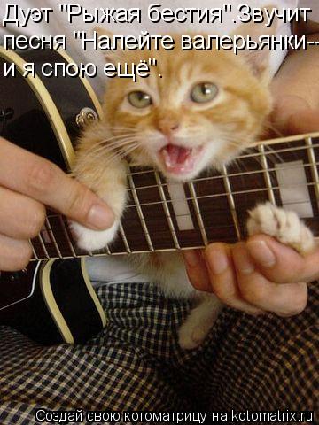 Котоматрица: Дуэт "Рыжая бестия".Звучит песня "Налейте валерьянки-- и я спою ещё".