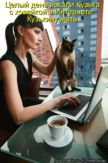 Котоматрица: Целый день искали Кузька с хозяйкой в Интернете Кузькину мать...