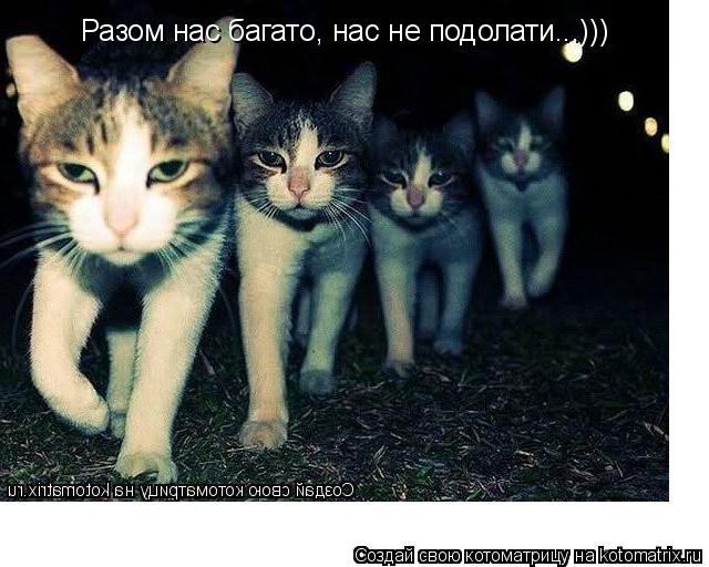Котоматрица: Разом нас багато, нас не подолати...)))