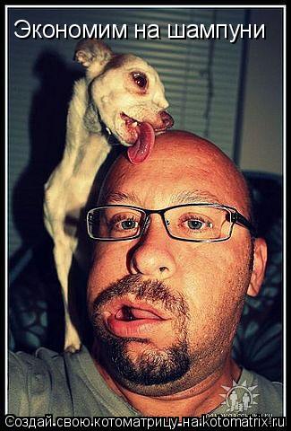 Котоматрица: Экономим на шампуни