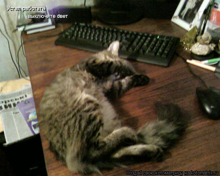 Котоматрица: Устал работать выключите свет