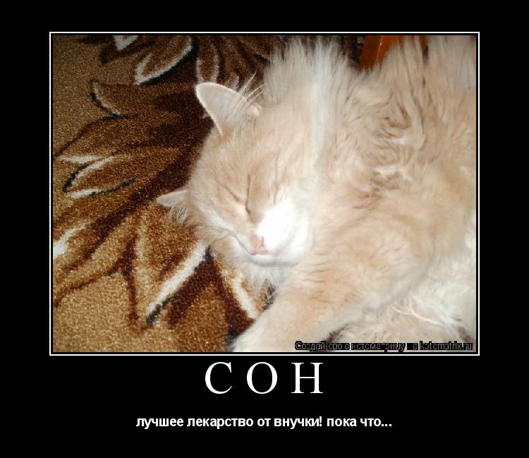 Котоматрица: сон лучшее лекарство от внучки! пока что...