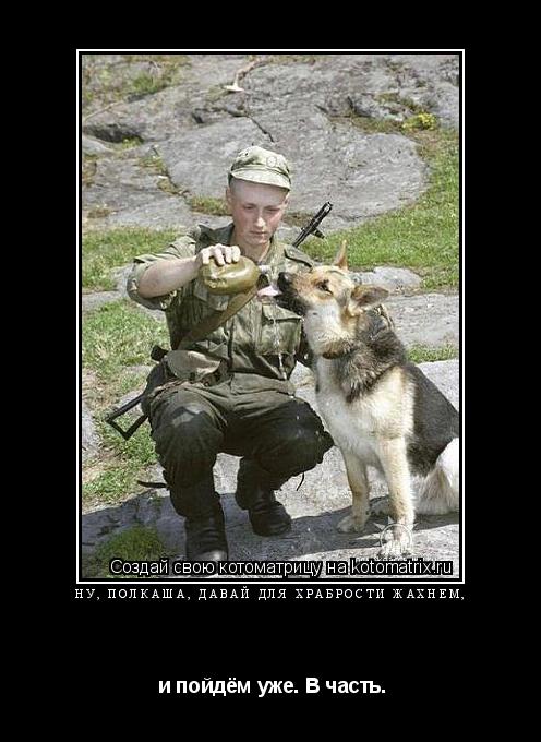 Ну, Полкаша, давай для храбрости жахнем, и пойдём уже. В часть.... Котоматрица: Ну, Полкаша, давай для храбрости жахнем, и пойдём уже. В часть.