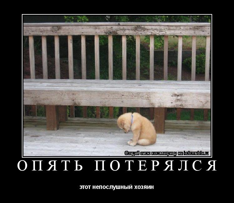 Котоматрица: опять потерялся этот непослушный хозяин