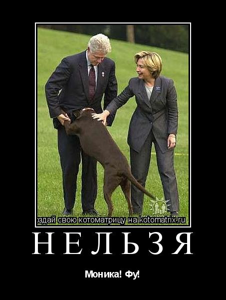 Котоматрица: нельзя Моника! Фу!