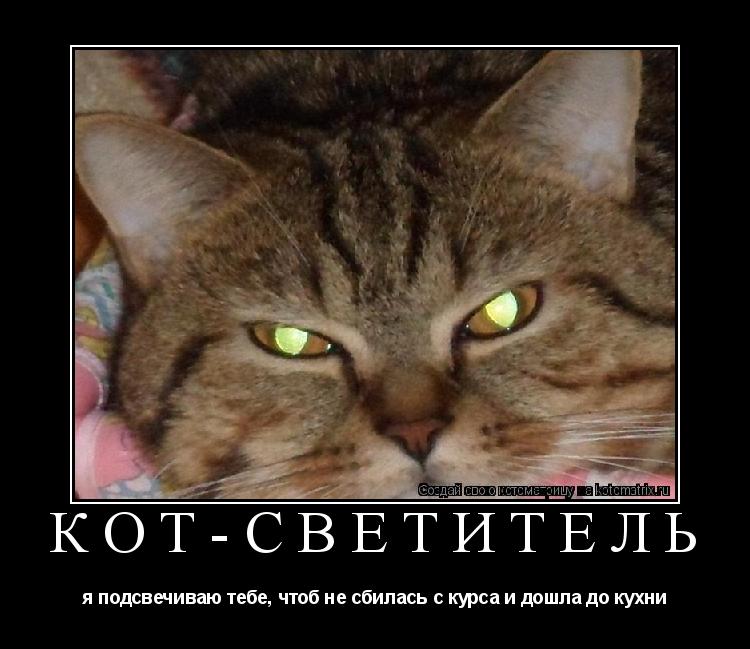 Котоматрица: кот-светитель я подсвечиваю тебе, чтоб не сбилась с курса и дошла до кухни