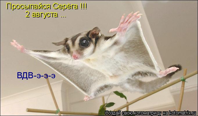 Котоматрица: Просыпайся Серёга !!! 2 августа ... ВДВ-э-э-э