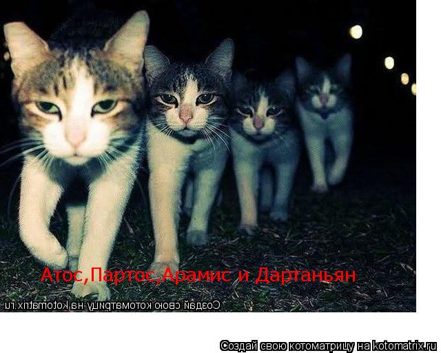 Котоматрица: Атос,Партос,Арамис и Дартаньян