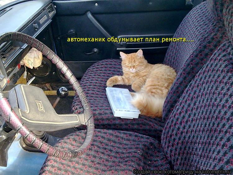 автомеханик обдумывает план ремонта....... Котоматрица: автомеханик обдумывает план ремонта....