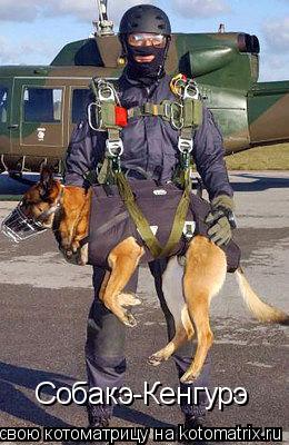 Котоматрица: Собакэ-Кенгурэ