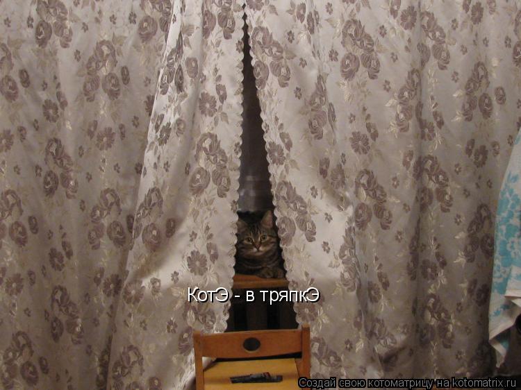 Котоматрица: КотЭ - в тряпкЭ