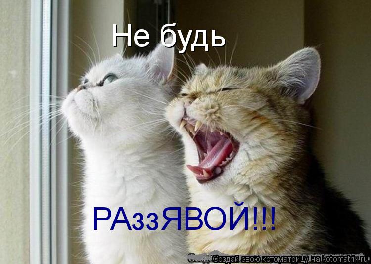 Котоматрица: Не будь РАззЯВОЙ!!!