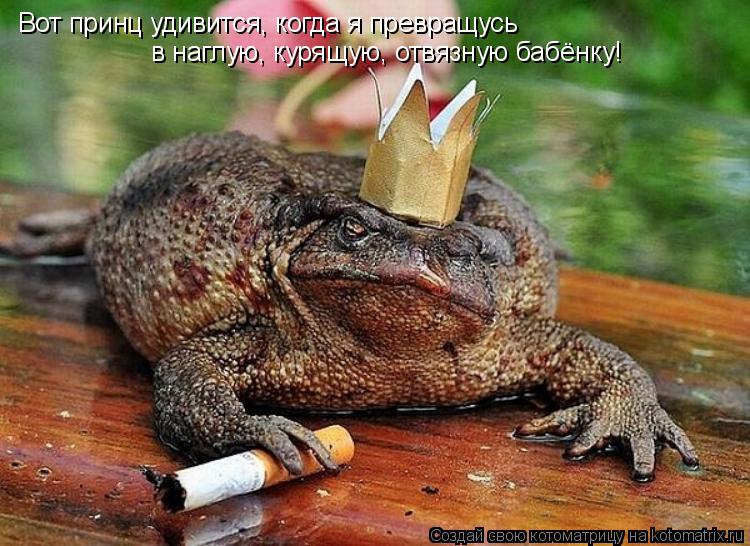 Котоматрица: Вот принц удивится, когда я превращусь в наглую, курящую, отвязную бабёнку!