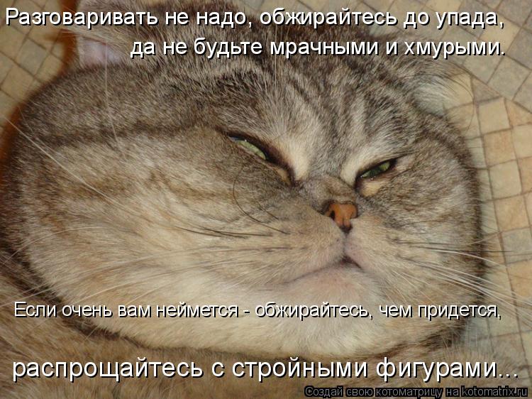Котоматрица: Разговаривать не надо, обжирайтесь до упада,  да не будьте мрачными и хмурыми. Если очень вам неймется - обжирайтесь, чем придется,  распроща