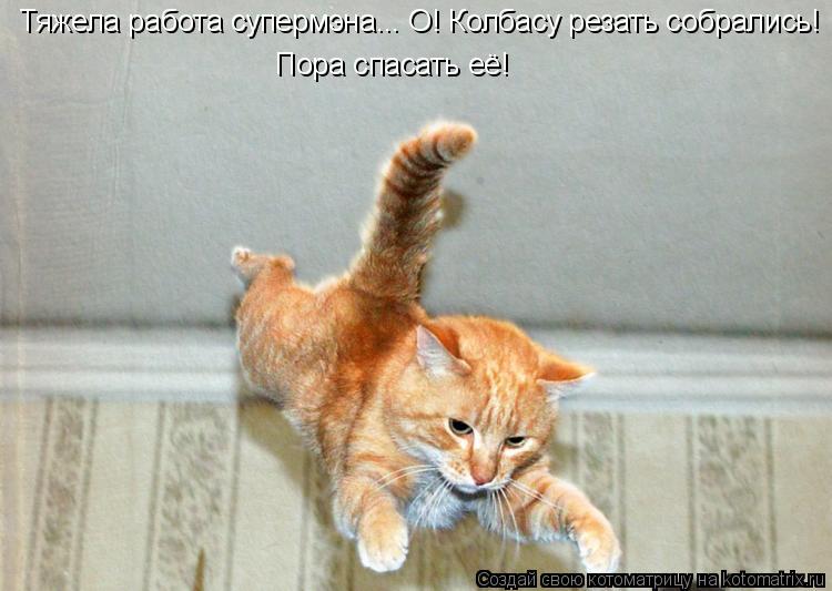 Котоматрица: Тяжела работа супермэна... О! Колбасу резать собрались! Пора спасать её!