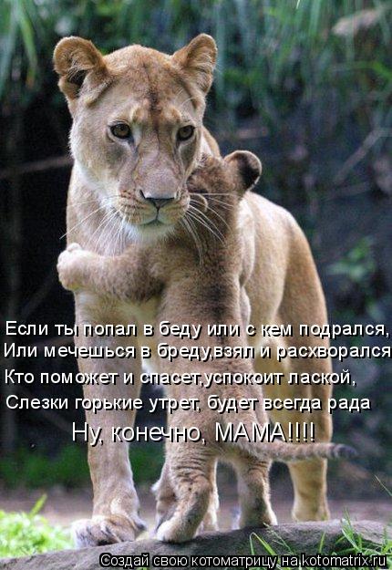 Котоматрица: Если ты попал в беду или с кем подрался, Или мечешься в бреду,взял и расхворался Кто поможет и спасет,успокоит лаской, Слезки горькие утрет, 