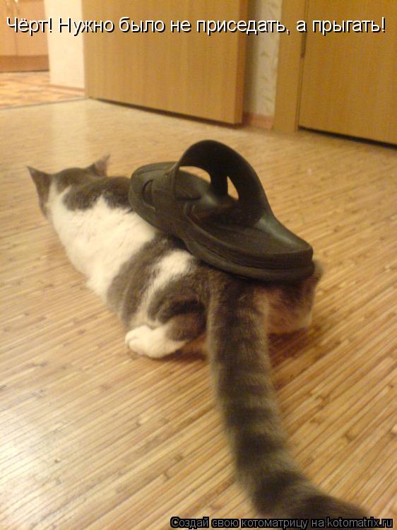 Котоматрица: Чёрт! Нужно было не приседать, а прыгать!