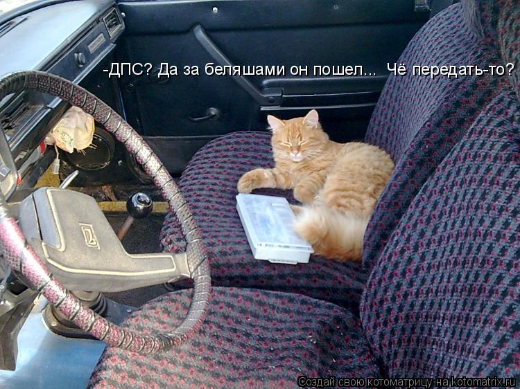 Котоматрица: -ДПС? Да за беляшами он пошел...  Чё передать-то?