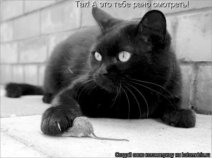 Котоматрица: Так! А это тебе рано смотреть!