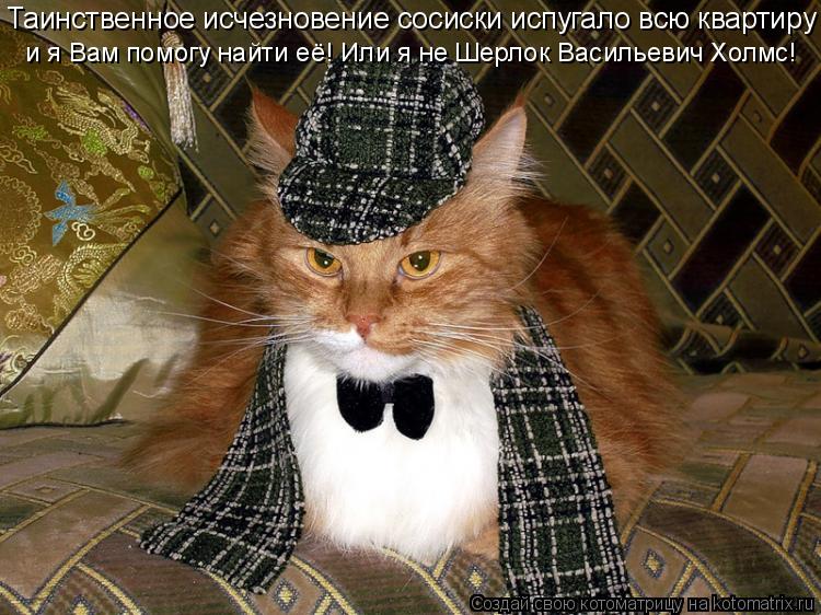 Котоматрица: Таинственное исчезновение сосиски испугало всю квартиру и я Вам помогу найти её! Или я не Шерлок Васильевич Холмс!