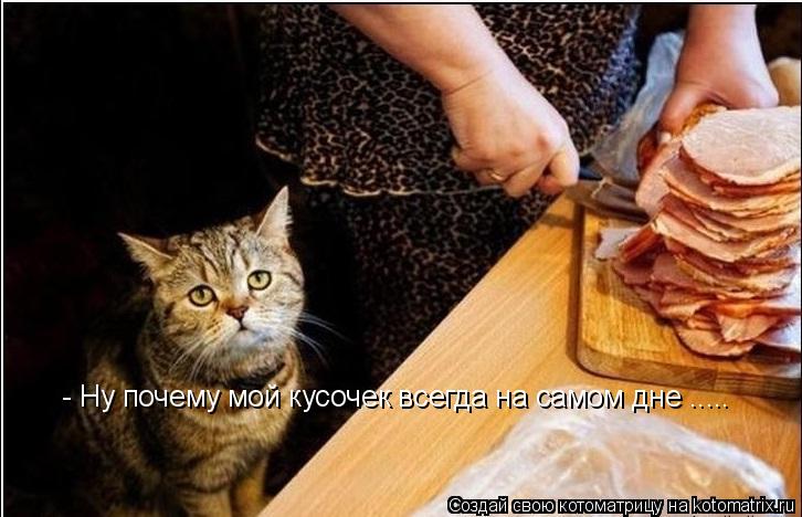 Котоматрица: - Ну почему мой кусочек всегда на самом дне .....