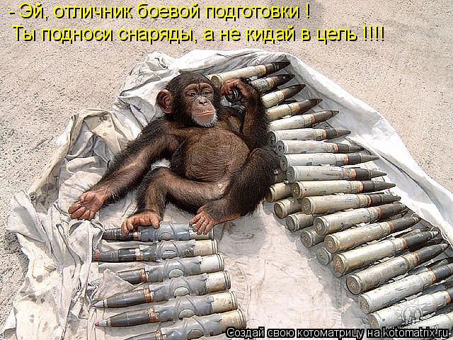 Котоматрица: - Эй, отличник боевой подготовки ! Ты подноси снаряды, а не кидай в цель !!!!