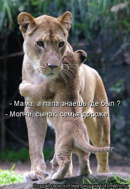 Котоматрица: - Мама, а папа знаешь где был ? - Молчи, сынок, семья дороже...