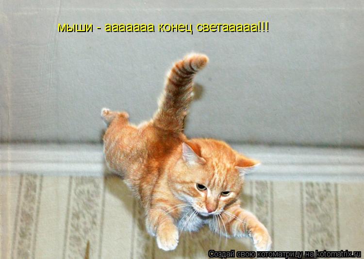Котоматрица: мыши - ааааааа конец светааааа!!!