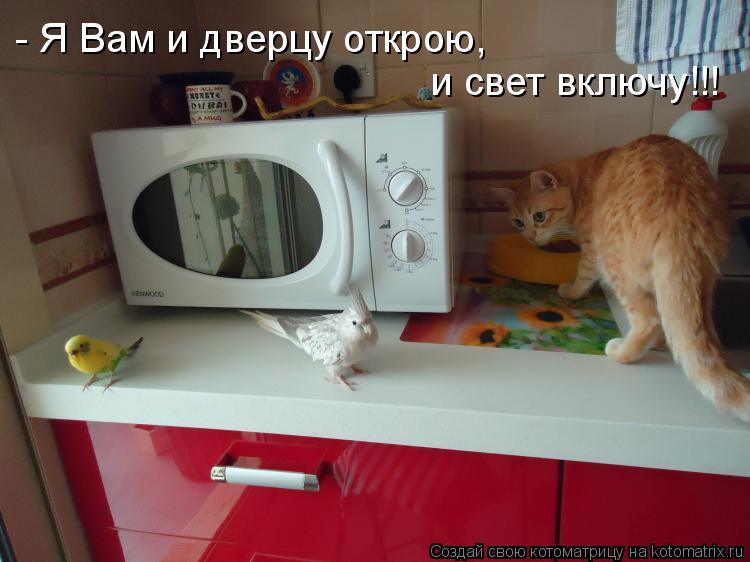 Котоматрица: - Я Вам и дверцу открою,  и свет включу!!!