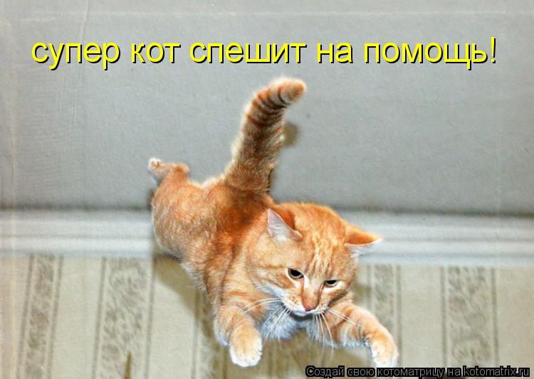 Котоматрица: супер кот спешит на помощь!