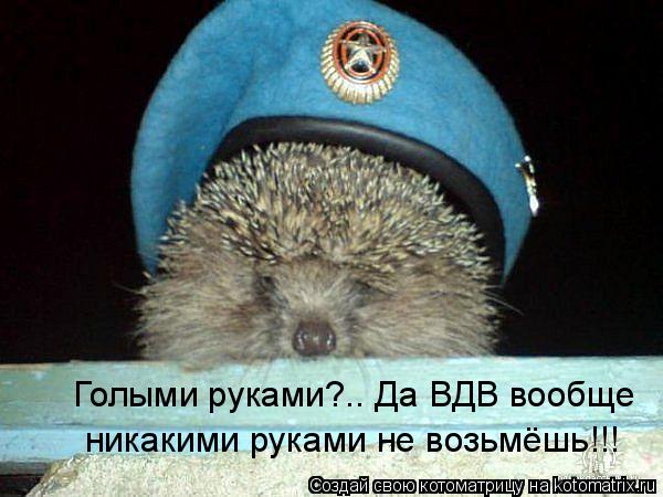 Котоматрица: Голыми руками?.. Да ВДВ вообще  никакими руками не возьмёшь!!!