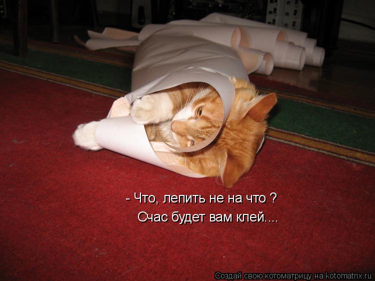 Котоматрица: - Что, лепить не на что ? Счас будет вам клей....