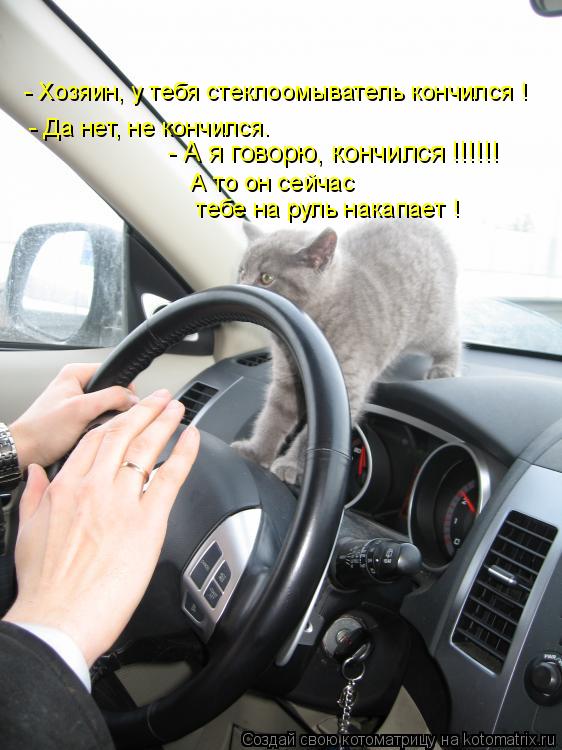 Котоматрица: - Хозяин, у тебя стеклоомыватель кончился ! - Да нет, не кончился. - А я говорю, кончился !!!!!!  А то он сейчас  тебе на руль накапает !