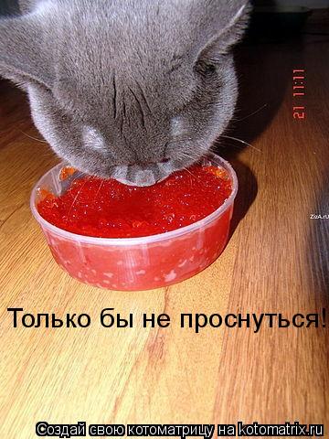 Котоматрица: Только бы не проснуться!