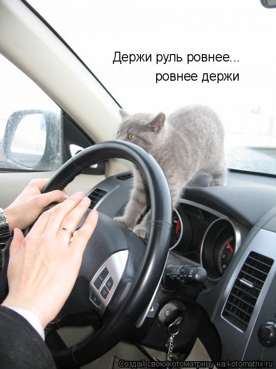 Котоматрица: Держи руль ровнее... ровнее держи