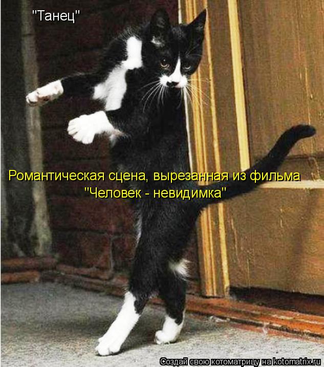 Котоматрица: "Танец" Романтическая сцена, вырезанная из фильма "Человек - невидимка"