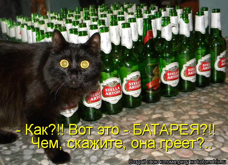 Котоматрица: - Как?!! Вот это - БАТАРЕЯ?!! Чем, скажите, она греет?..