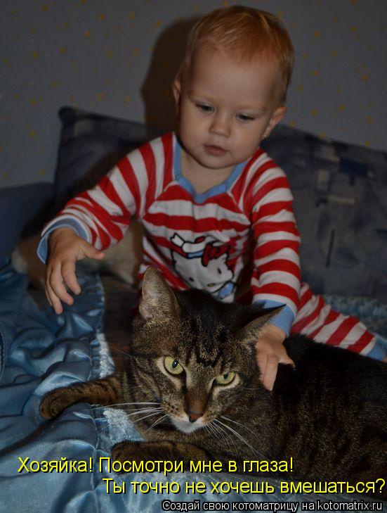 Котоматрица: Хозяйка! Посмотри мне в глаза! Ты точно не хочешь вмешаться?