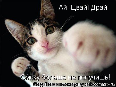 Котоматрица: Ай! Цвай! Драй!  Смску больше не получишь!
