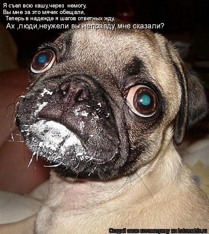 Я съел всю кашу,через немогу, Вы мне за это мячик обещали, Теперь в надежде я шагов ответных жду, Ах... Котоматрица: Я съел всю кашу,через немогу, Вы мне за это мячик обещали, Теперь в надежде я шагов ответных жду, Ах ,люди,неужели вы неправду мне сказали? Ах