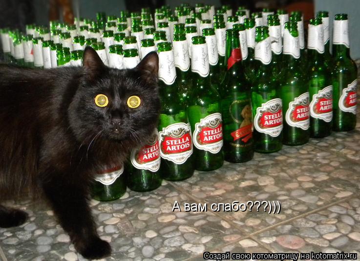 А вам слабо???)))... Котоматрица: А вам слабо???)))