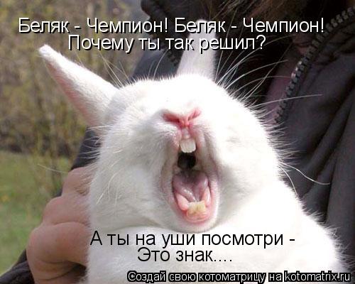 Беляк - Чемпион! Беляк - Чемпион! Почему ты так решил? А ты на уши посмотри - Это знак....... Котоматрица: Беляк - Чемпион! Беляк - Чемпион! Почему ты так решил? А ты на уши посмотри - Это знак....