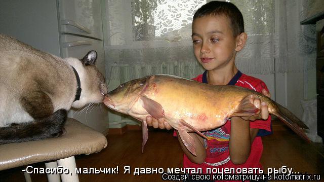 -Спасибо, мальчик! Я давно мечтал поцеловать рыбу...... Котоматрица: -Спасибо, мальчик! Я давно мечтал поцеловать рыбу...
