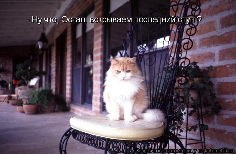 - Ну что, Остап, вскрываем последний стул ?... Котоматрица: - Ну что, Остап, вскрываем последний стул ?