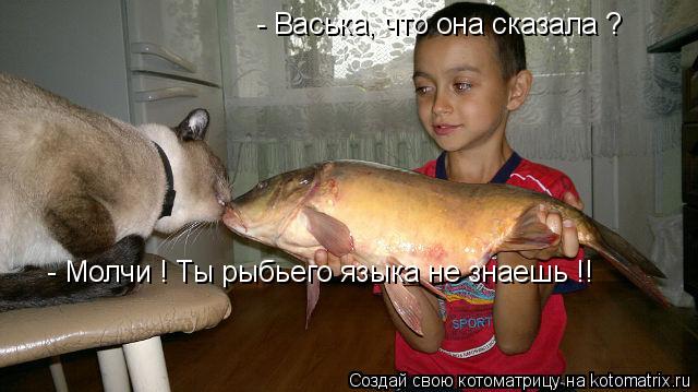 - Молчи ! Ты рыбьего языка не знаешь !! - Васька, что она сказала ?... Котоматрица: - Молчи ! Ты рыбьего языка не знаешь !! - Васька, что она сказала ?