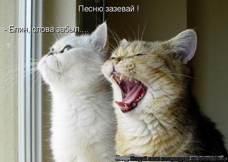 Котоматрица: Песню зазевай ! - Блин, слова забыл....