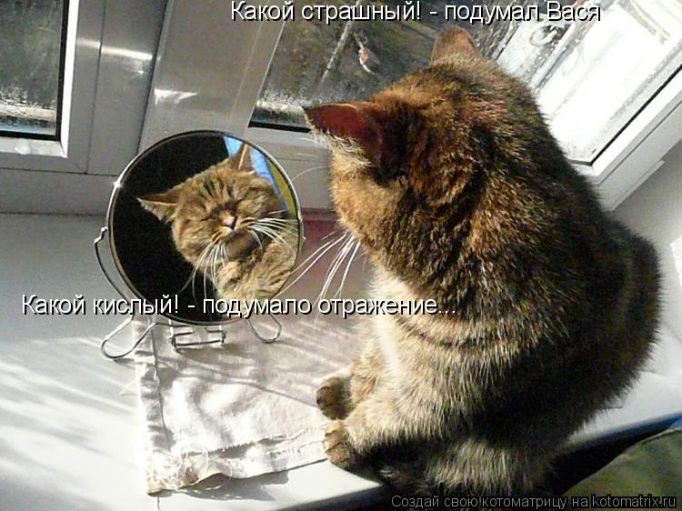 Котоматрица: Какой страшный! - подумал Вася Какой кислый! - подумало отражение...