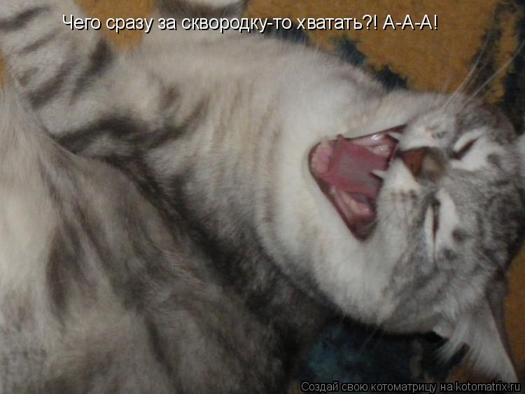 Котоматрица: Чего сразу за сквородку-то хватать?! А-А-А!