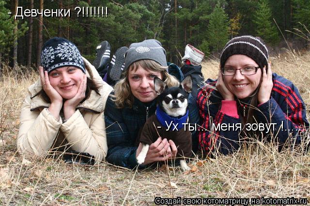- Девченки ?!!!!!!! - Ух ты... меня зовут !.......... Котоматрица: - Девченки ?!!!!!!! - Ух ты... меня зовут !.......