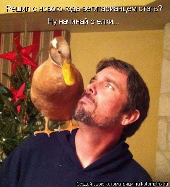 Решил с нового года вегитарианцем стать? Ну начинай с ёлки...... Котоматрица: Решил с нового года вегитарианцем стать? Ну начинай с ёлки...